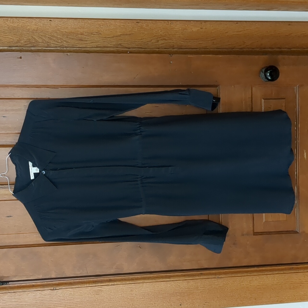 Silk Banana Republic Dress, Sz S